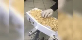 O caso ocorreu no município de Imbaú,  nos Campos Gerais do Paraná.