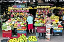 Dieese registrou queda no preço da maioria das frutas vendidas nas feiras livres e supermercados de Belém.
