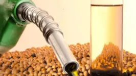 A Agropalma foi uma das primeiras empresas do país a produzir biodiesel.