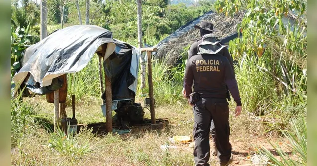 Imagem ilustrativa da notícia PF faz operação e retira invasores de terra indígena no Pará