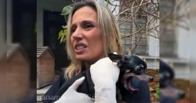 Imagem ilustrativa da notícia Luisa Mell vira meme após invadir mansão e resgatar cachorro