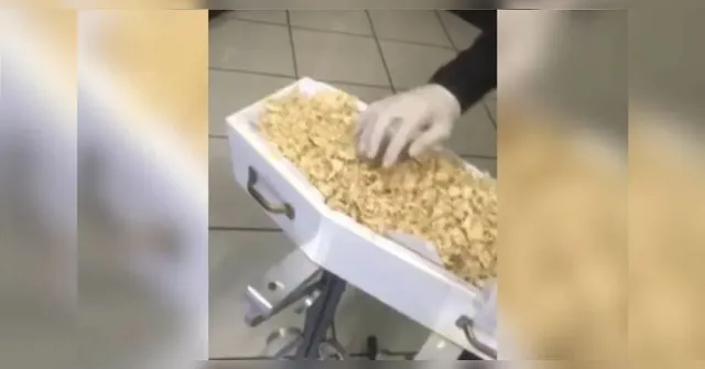 Imagem ilustrativa da notícia Paraná: bebê morto é substituído por serragem em caixão