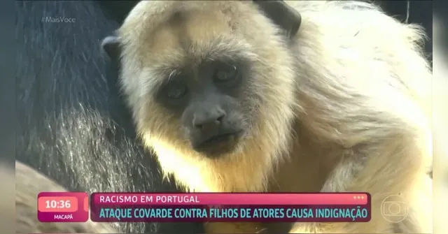 Imagem ilustrativa da notícia Mais Você exibe macaco ao abordar caso de filhos de atores