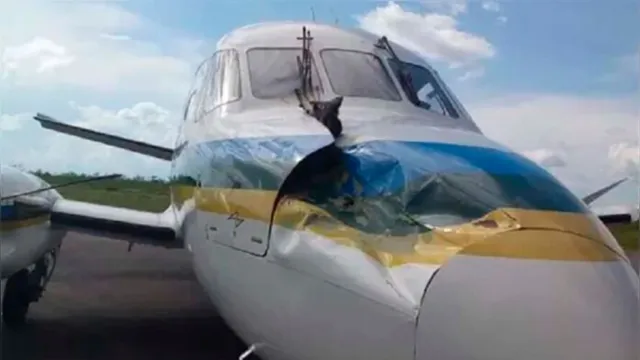 Imagem ilustrativa da notícia Avião do Governo do Amapá acerta urubu e tem nariz destruído