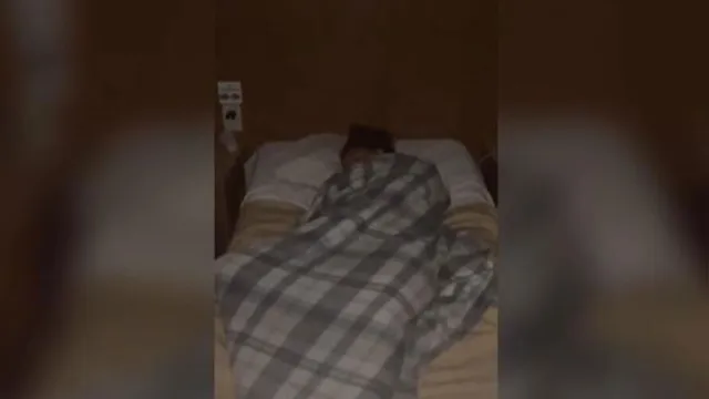 Imagem ilustrativa da notícia Turista erra quarto em hotel e dorme nua na cama de hospedes 