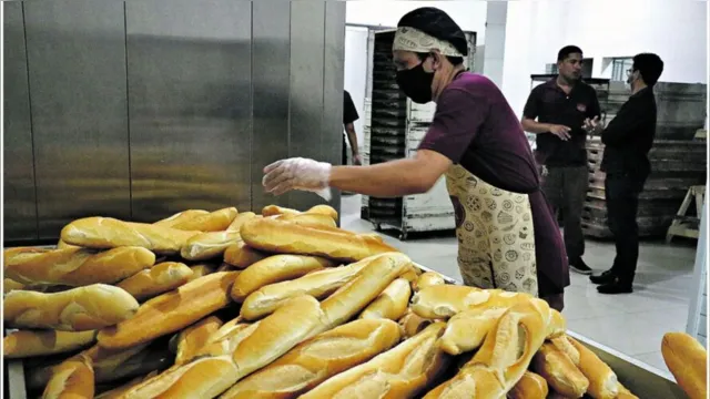 Imagem ilustrativa da notícia Decreto estadual deve reduzir preço do pão no Pará