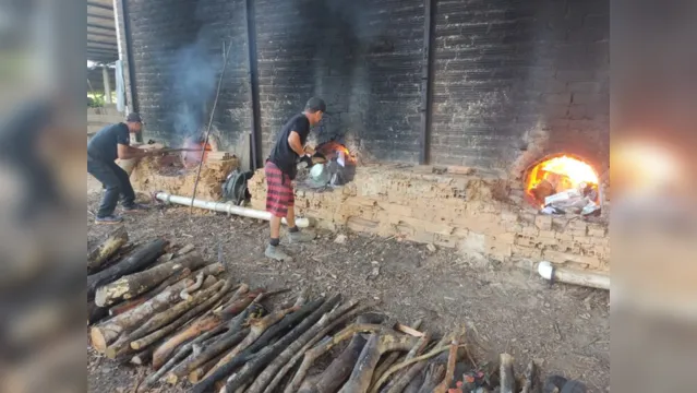Imagem ilustrativa da notícia Uma tonelada de droga é incinerada em Bragança. Veja!