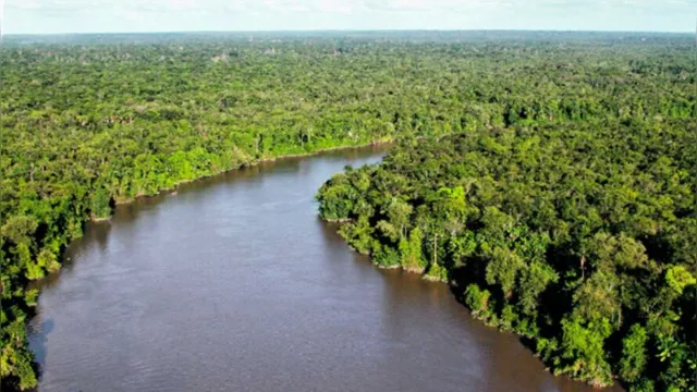 Imagem ilustrativa da notícia Senador Jader destaca relatórios em defesa do Fundo Amazônia