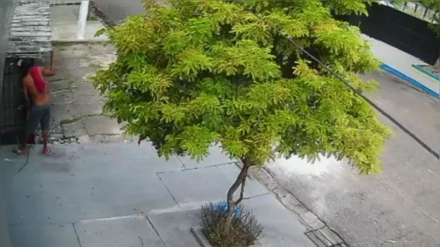 Imagem ilustrativa da notícia Vídeo: homem furta telhas em plena luz do dia em Belém