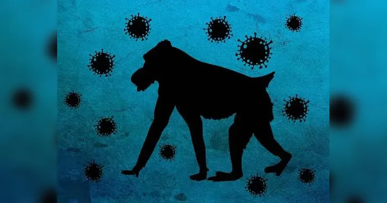 Imagem ilustrativa da notícia Saiba tudo sobre a “varíola dos macacos”