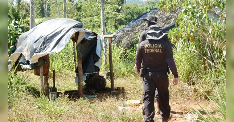 Imagem ilustrativa da notícia PF faz operação e retira invasores de terra indígena no Pará
