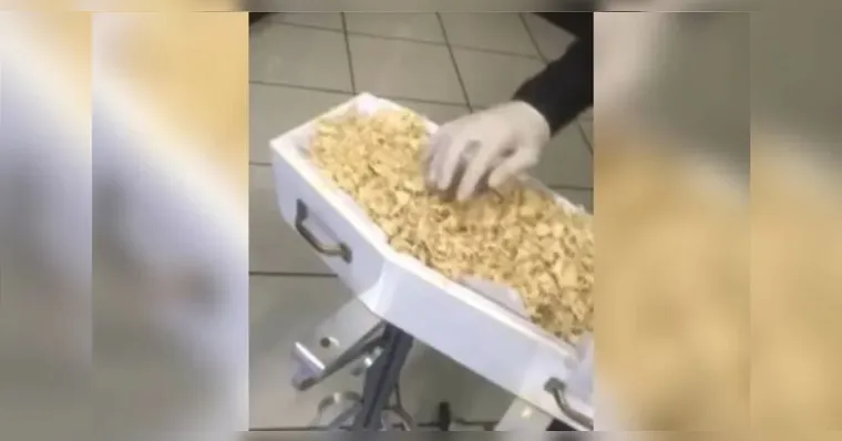 Imagem ilustrativa da notícia Paraná: bebê morto é substituído por serragem em caixão