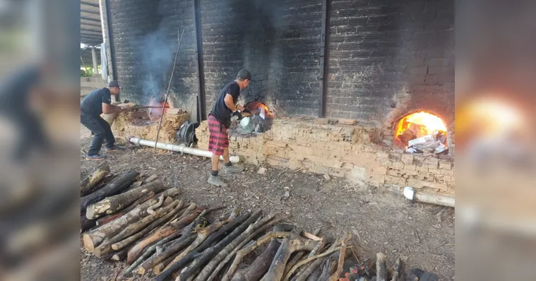 Imagem ilustrativa da notícia Uma tonelada de droga é incinerada em Bragança. Veja!