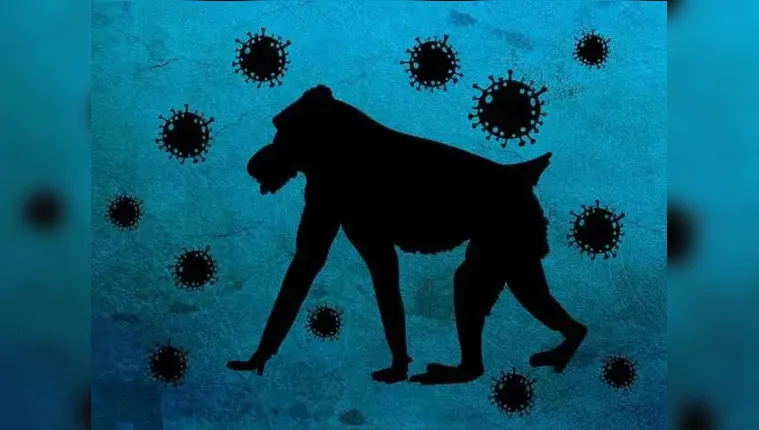 Imagem ilustrativa da notícia Saiba tudo sobre a “varíola dos macacos”