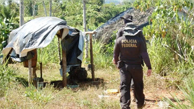 Imagem ilustrativa da notícia PF faz operação e retira invasores de terra indígena no Pará