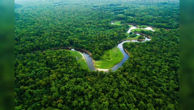 Imagem ilustrativa da notícia Amazônia é fundamental para atingir metas climáticas globais