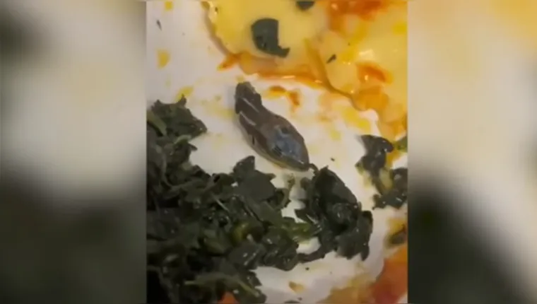 Imagem ilustrativa da notícia Vídeo: cabeça de cobra é encontrada em comida durante voo