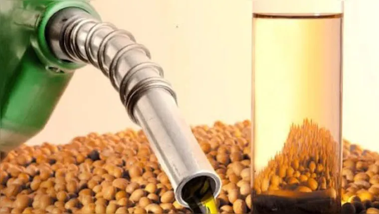 Imagem ilustrativa da notícia Agropalma retoma produção de biodiesel no Pará