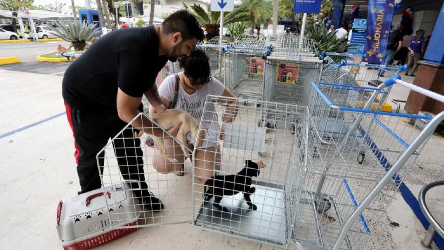 A liberação de animais em supermercados foi assinada na sexta-feira (05).