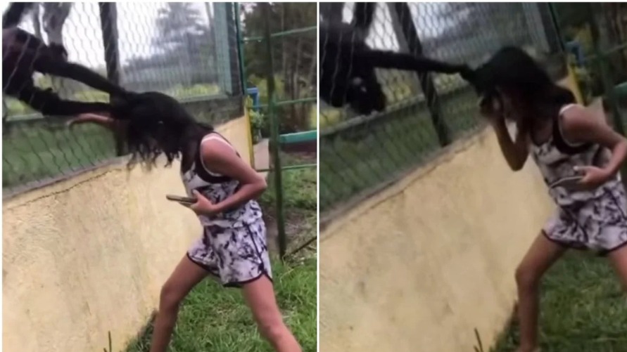 Menina conseguiu escapar por pouco de ataque de macaco