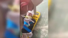 . No vídeo, mostra o momento em que ela recebe atendimento do Corpo de Bombeiros.