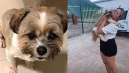 O cachorrinho estava recebendo cuidados em Santo Antônio do Tauá e Marcela foi imediatamente buscá-lo
