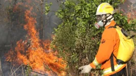 Bombeiros trabalham para controlar o fogo