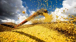As primeiras projeções para a produção de grãos para a safra 2022/23 apontam para uma colheita de 308 milhões de toneladas