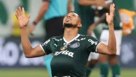 O paraense é um dos destaques do Verdão na Libertadores