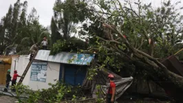 Cenário foi destruição após vendaval em Ananindeua