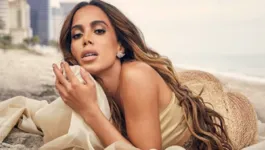 Anitta apostou em um look transparente.