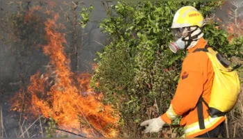 Forte calor faz Parque Nacional de Brasília ficar lotado