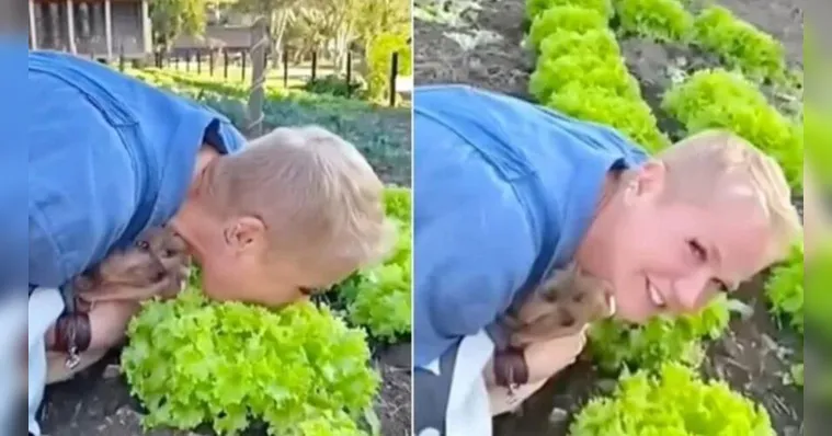 Imagem ilustrativa da notícia  Xuxa posta vídeo comendo alface diretamente do pé