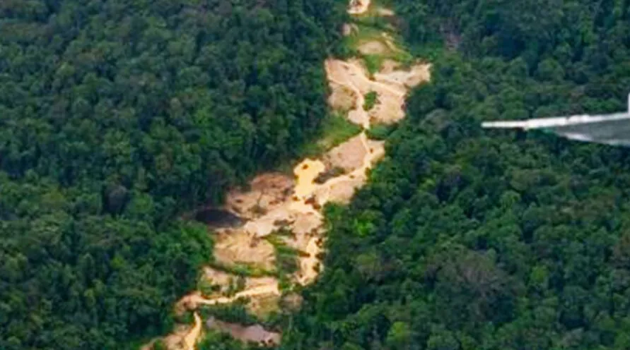 A urgência da desocupação da área é motivada pelo fato de a TI Apyterewa estar entre as mais desmatadas no Brasil
