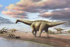 Imagem ilustrativa da notícia Dinossauro pescoçudo 'anão' é achado em cidade paulista