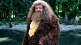 Imagem ilustrativa da notícia Morre Robbie Coltrane, o Hagrid dos filmes de Harry Potter