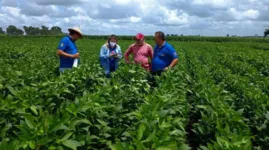 A Agência de Defesa Agropecuária do Estado Pará (Adepará) celebra a data, pois tem em seu quadro funcional 105 engenheiros agrônomos