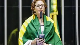 Deputada Carla Zambelli em plenário.