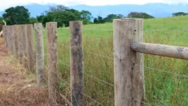 A propriedade, localizada na BR-230, à altura do km 35, em Marabá, sudeste do estado, contém 1.382,9710 ha