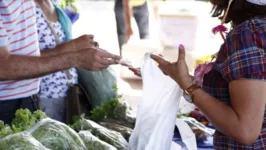 Iniciativas de venda de produtos orgânicos de pequenos produtores se espalham pelo Brasil