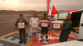 No sábado, a equipe da CET/Sespa viabilizou um avião do Graesp para buscar os rins e as córneas do doador e trazê-los para os transplantes, em Belém