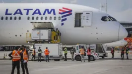 Imagem ilustrativa da notícia Companhia aérea abre vagas em Belém e outras capitais