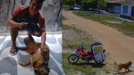 Imagem ilustrativa da notícia Entregador acha cachorro caramelo que roubou marmita no Pará