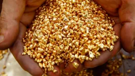Há indícios de que o ouro comercializado também tenha chegado da Venezuela, por meio do contrabando de minério