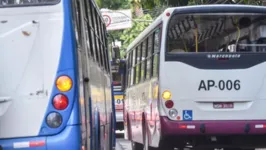 Transporte em Belém e demais municípios paraenses será gratuito no dia 30 de outubro