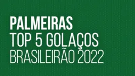 Verdão é campeão faltando três rodadas para o fim do Brasileirão