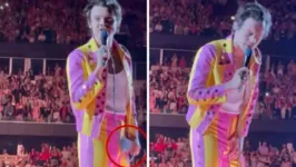 Harry Styles é atingido em show em Chicago, nos Estados Unidos.