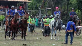 A cultura do cavalo tem mais de três séculos no Marajó.