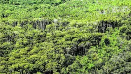 De acordo com o governo norueguês, há cerca de R$ 2,52 bilhões para serem usados em ações para a preservação da floresta