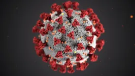 Ilustração criada pelo Centro de Controle e Prevenção de Doenças (CDC) dos EUA mostra a estrutura morfológica do coronavírus.